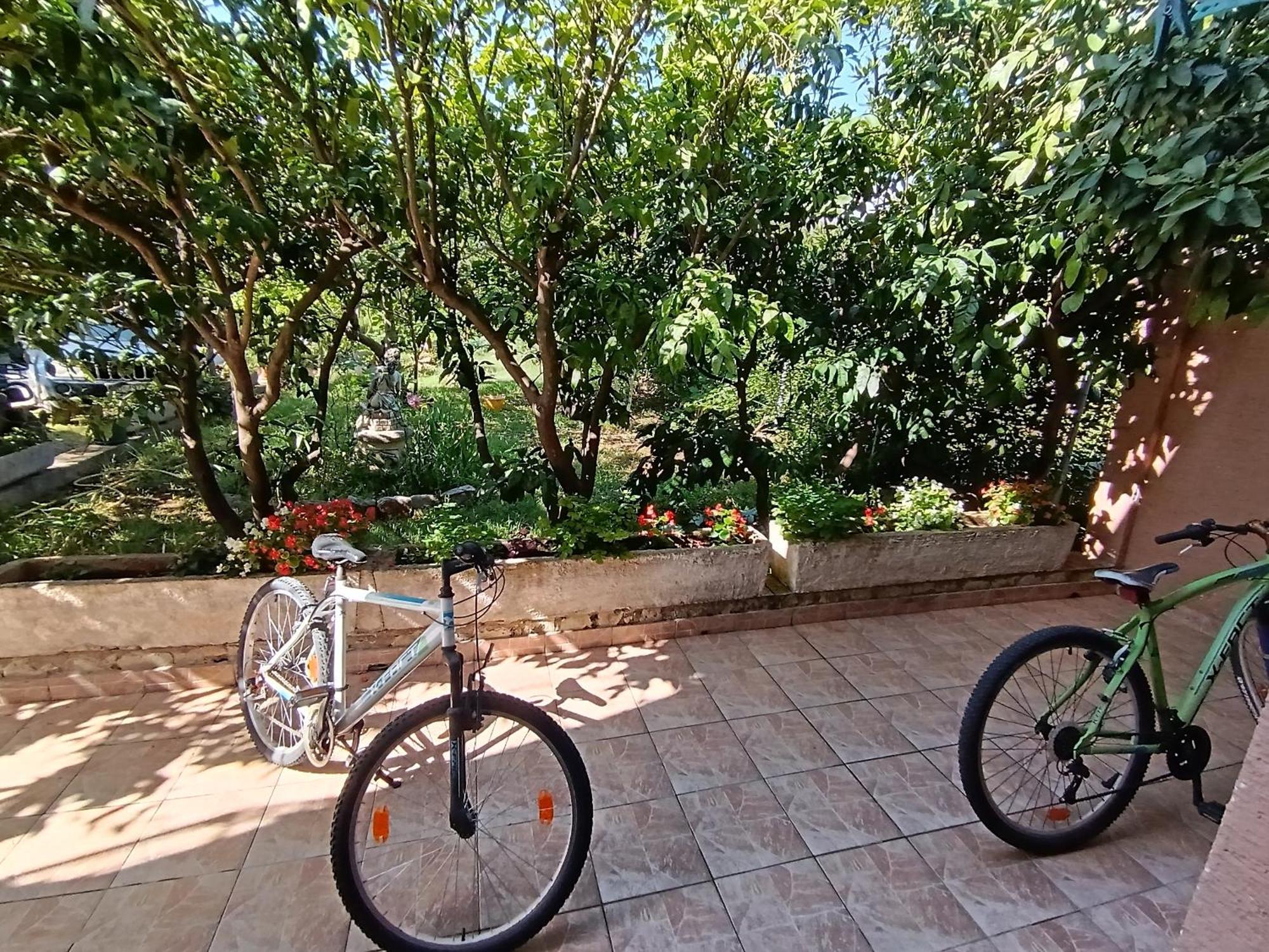 Apartments Lana Starigrad Paklenica Bilik gambar